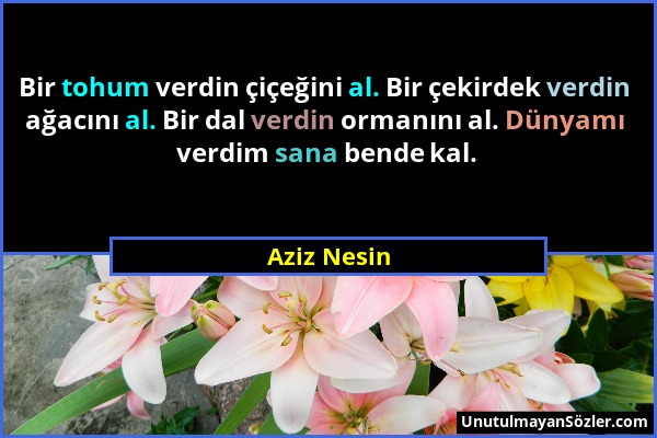 Aziz Nesin - Bir tohum verdin çiçeğini al. Bir çekirdek verdin ağacını al. Bir dal verdin ormanını al. Dünyamı verdim sana bende kal....