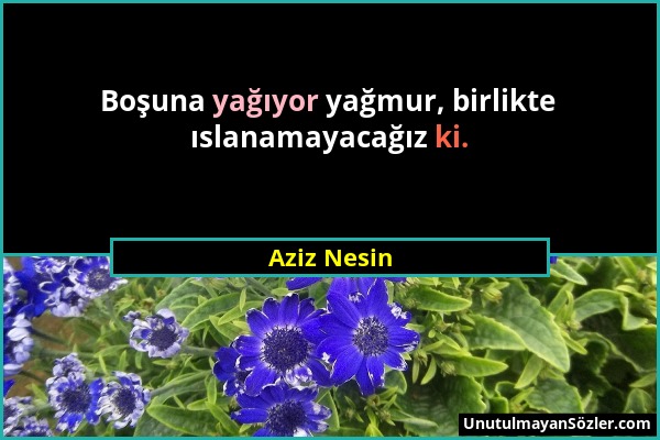 Aziz Nesin - Boşuna yağıyor yağmur, birlikte ıslanamayacağız ki....