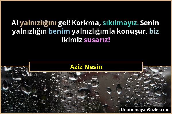 Aziz Nesin - Al yalnızlığını gel! Korkma, sıkılmayız. Senin yalnızlığın benim yalnızlığımla konuşur, biz ikimiz susarız!...