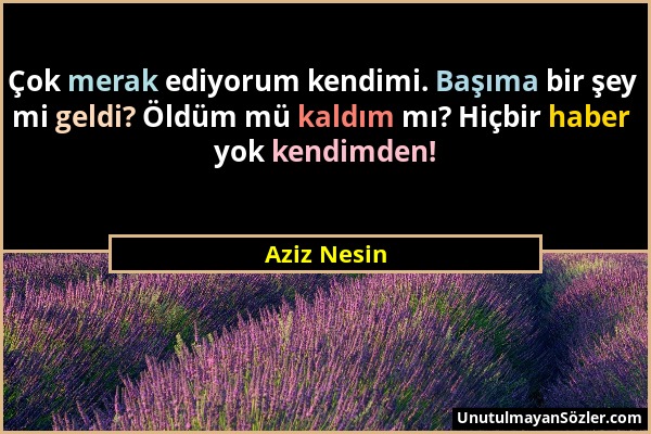 Aziz Nesin - Çok merak ediyorum kendimi. Başıma bir şey mi geldi? Öldüm mü kaldım mı? Hiçbir haber yok kendimden!...