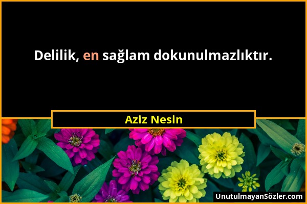 Aziz Nesin - Delilik, en sağlam dokunulmazlıktır....