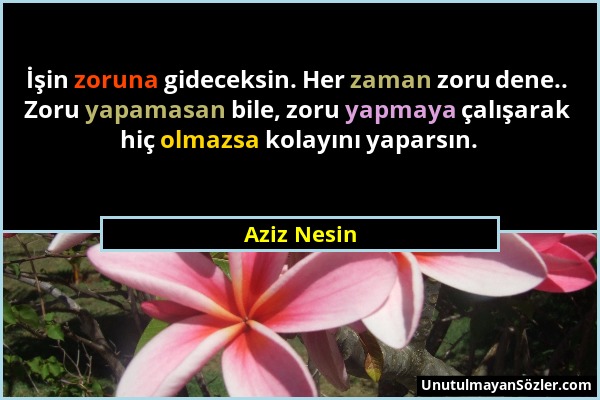 Aziz Nesin - İşin zoruna gideceksin. Her zaman zoru dene.. Zoru yapamasan bile, zoru yapmaya çalışarak hiç olmazsa kolayını yaparsın....