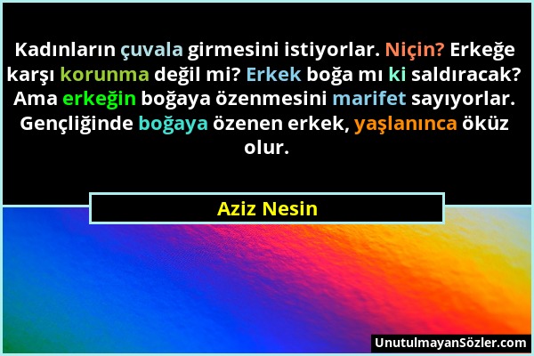 Aziz Nesin - Kadınların çuvala girmesini istiyorlar. Niçin? Erkeğe karşı korunma değil mi? Erkek boğa mı ki saldıracak? Ama erkeğin boğaya özenmesini...