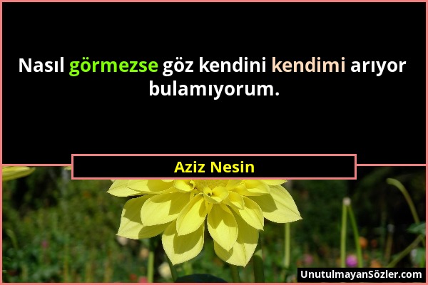 Aziz Nesin - Nasıl görmezse göz kendini kendimi arıyor bulamıyorum....