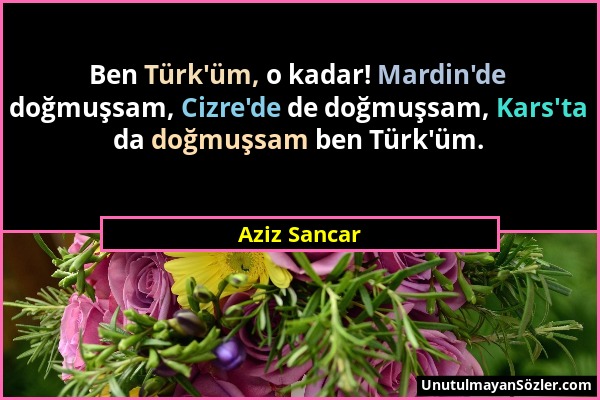 Aziz Sancar - Ben Türk'üm, o kadar! Mardin'de doğmuşsam, Cizre'de de doğmuşsam, Kars'ta da doğmuşsam ben Türk'üm....