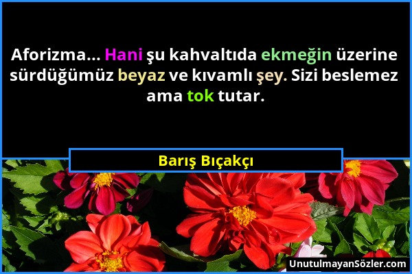 Barış Bıçakçı - Aforizma... Hani şu kahvaltıda ekmeğin üzerine sürdüğümüz beyaz ve kıvamlı şey. Sizi beslemez ama tok tutar....