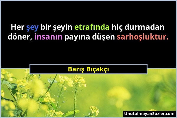 Barış Bıçakçı - Her şey bir şeyin etrafında hiç durmadan döner, insanın payına düşen sarhoşluktur....