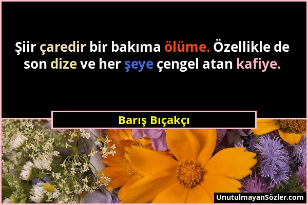 Barış Bıçakçı - Şiir çaredir bir bakıma ölüme. Özellikle de son dize ve her şeye çengel atan kafiye....