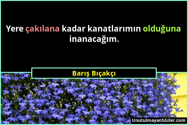 Barış Bıçakçı - Yere çakılana kadar kanatlarımın olduğuna inanacağım....