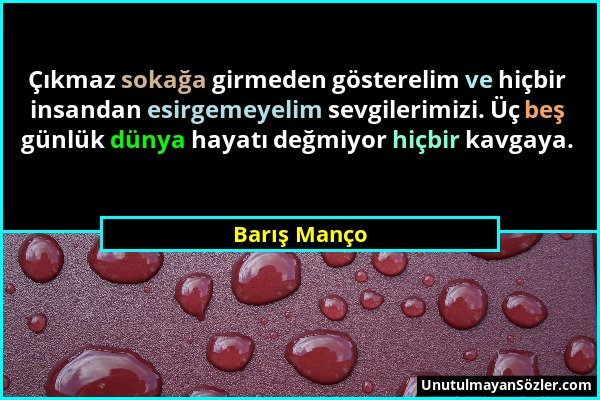 Barış Manço - Çıkmaz sokağa girmeden gösterelim ve hiçbir insandan esirgemeyelim sevgilerimizi. Üç beş günlük dünya hayatı değmiyor hiçbir kavgaya....