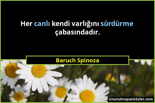 Baruch Spinoza - Her canlı kendi varlığını sürdürme çabasındadır....