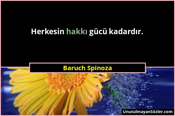 Baruch Spinoza - Herkesin hakkı gücü kadardır....