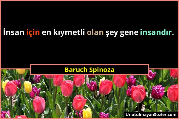 Baruch Spinoza - İnsan için en kıymetli olan şey gene insandır....