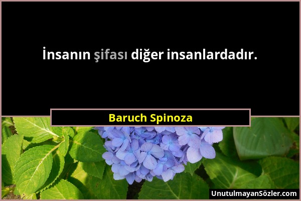 Baruch Spinoza - İnsanın şifası diğer insanlardadır....