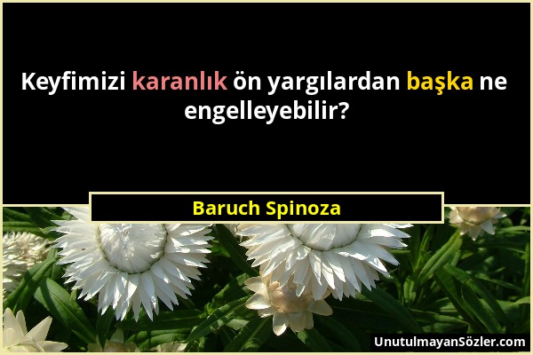 Baruch Spinoza - Keyfimizi karanlık ön yargılardan başka ne engelleyebilir?...