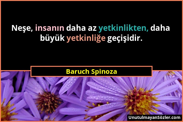 Baruch Spinoza - Neşe, insanın daha az yetkinlikten, daha büyük yetkinliğe geçişidir....