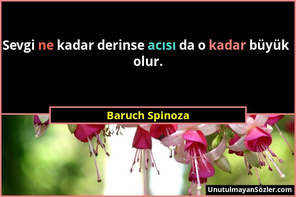 Baruch Spinoza - Sevgi ne kadar derinse acısı da o kadar büyük olur....