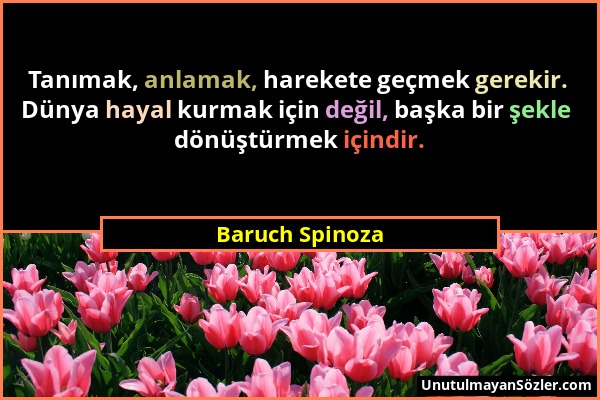 Baruch Spinoza - Tanımak, anlamak, harekete geçmek gerekir. Dünya hayal kurmak için değil, başka bir şekle dönüştürmek içindir....