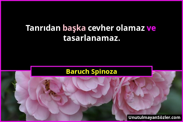 Baruch Spinoza - Tanrıdan başka cevher olamaz ve tasarlanamaz....