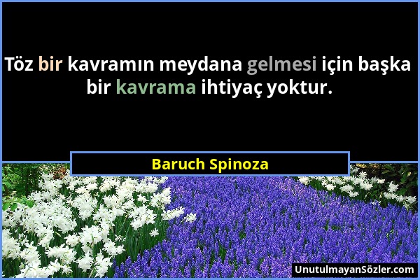 Baruch Spinoza - Töz bir kavramın meydana gelmesi için başka bir kavrama ihtiyaç yoktur....