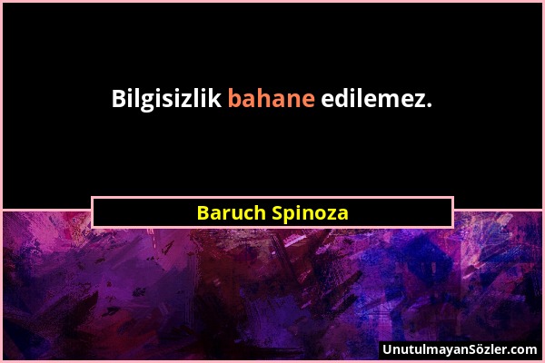 Baruch Spinoza - Bilgisizlik bahane edilemez....
