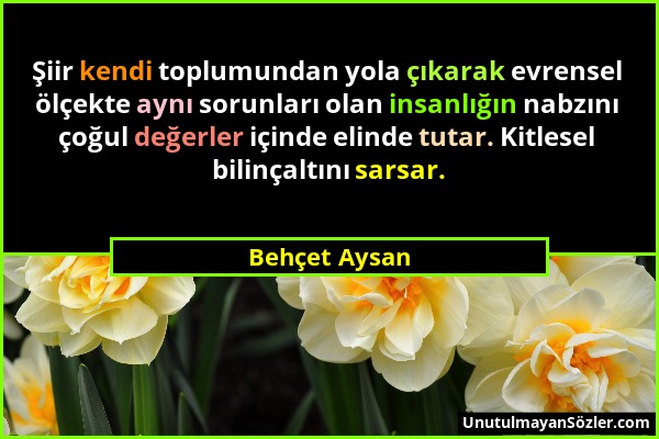 Behçet Aysan - Şiir kendi toplumundan yola çıkarak evrensel ölçekte aynı sorunları olan insanlığın nabzını çoğul değerler içinde elinde tutar. Kitlese...