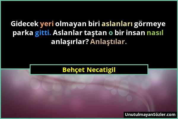 Behçet Necatigil - Gidecek yeri olmayan biri aslanları görmeye parka gitti. Aslanlar taştan o bir insan nasıl anlaşırlar? Anlaştılar....