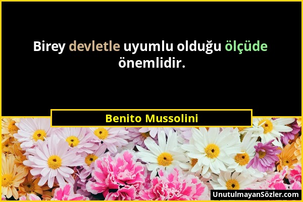 Benito Mussolini - Birey devletle uyumlu olduğu ölçüde önemlidir....