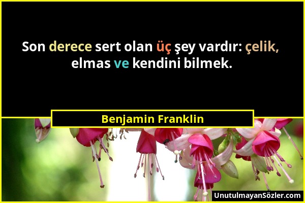 Benjamin Franklin - Son derece sert olan üç şey vardır: çelik, elmas ve kendini bilmek....