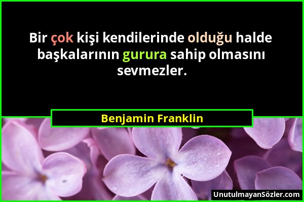 Benjamin Franklin - Bir çok kişi kendilerinde olduğu halde başkalarının gurura sahip olmasını sevmezler....