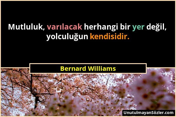 Bernard Williams - Mutluluk, varılacak herhangi bir yer değil, yolculuğun kendisidir....