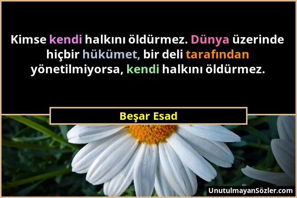 Beşar Esad - Kimse kendi halkını öldürmez. Dünya üzerinde hiçbir hükümet, bir deli tarafından yönetilmiyorsa, kendi halkını öldürmez....