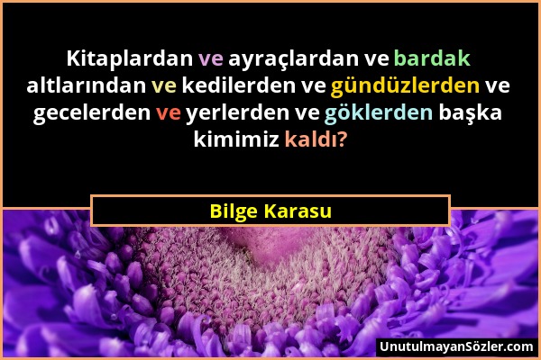 Bilge Karasu - Kitaplardan ve ayraçlardan ve bardak altlarından ve kedilerden ve gündüzlerden ve gecelerden ve yerlerden ve göklerden başka kimimiz ka...