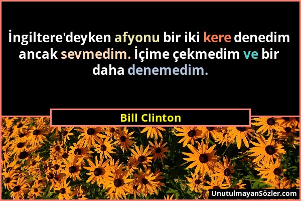 Bill Clinton - İngiltere'deyken afyonu bir iki kere denedim ancak sevmedim. İçime çekmedim ve bir daha denemedim....