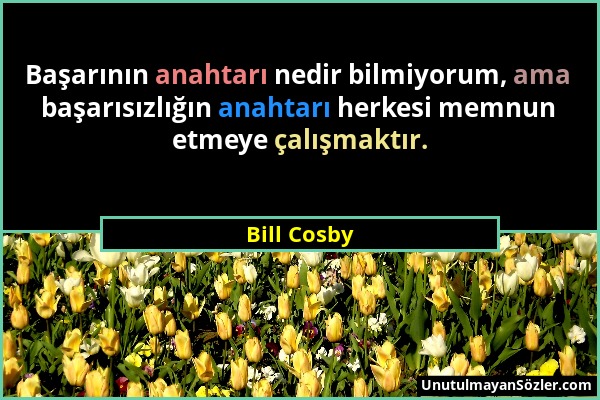 Bill Cosby - Başarının anahtarı nedir bilmiyorum, ama başarısızlığın anahtarı herkesi memnun etmeye çalışmaktır....