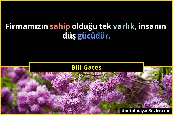 Bill Gates - Firmamızın sahip olduğu tek varlık, insanın düş gücüdür....