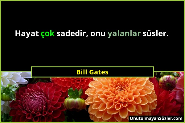 Bill Gates - Hayat çok sadedir, onu yalanlar süsler....