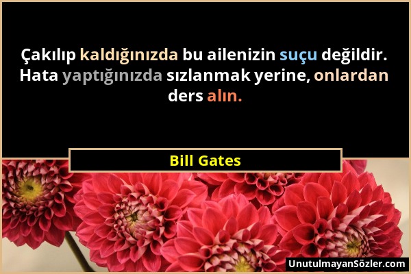 Bill Gates - Çakılıp kaldığınızda bu ailenizin suçu değildir. Hata yaptığınızda sızlanmak yerine, onlardan ders alın....