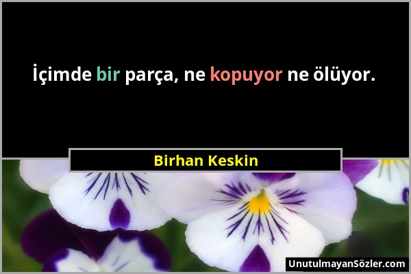 Birhan Keskin - İçimde bir parça, ne kopuyor ne ölüyor....