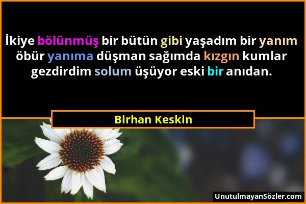 Birhan Keskin - İkiye bölünmüş bir bütün gibi yaşadım bir yanım öbür yanıma düşman sağımda kızgın kumlar gezdirdim solum üşüyor eski bir anıdan....