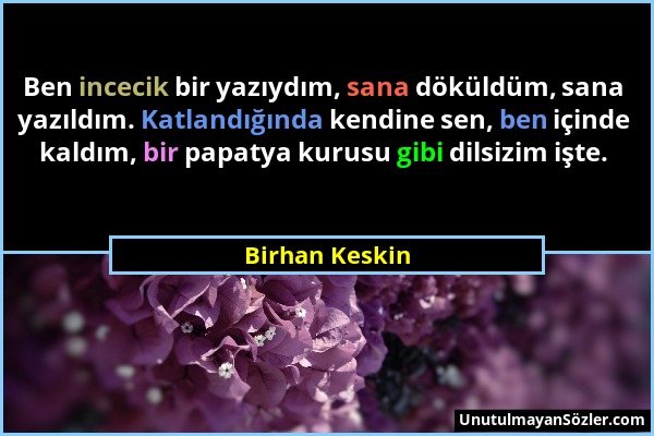 Birhan Keskin - Ben incecik bir yazıydım, sana döküldüm, sana yazıldım. Katlandığında kendine sen, ben içinde kaldım, bir papatya kurusu gibi dilsizim...