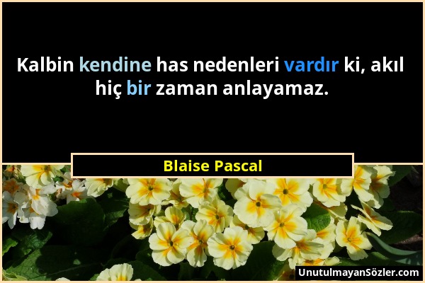 Blaise Pascal - Kalbin kendine has nedenleri vardır ki, akıl hiç bir zaman anlayamaz....