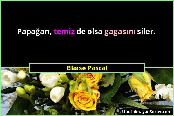 Blaise Pascal - Papağan, temiz de olsa gagasını siler....