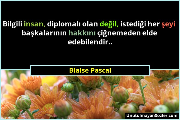 Blaise Pascal - Bilgili insan, diplomalı olan değil, istediği her şeyi başkalarının hakkını çiğnemeden elde edebilendir.....