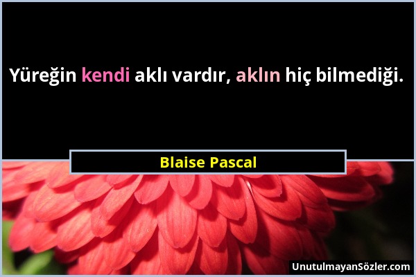 Blaise Pascal - Yüreğin kendi aklı vardır, aklın hiç bilmediği....