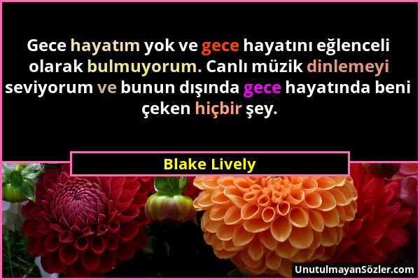 Blake Lively - Gece hayatım yok ve gece hayatını eğlenceli olarak bulmuyorum. Canlı müzik dinlemeyi seviyorum ve bunun dışında gece hayatında beni çek...