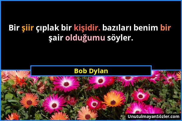 Bob Dylan - Bir şiir çıplak bir kişidir. bazıları benim bir şair olduğumu söyler....
