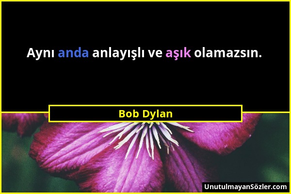 Bob Dylan - Aynı anda anlayışlı ve aşık olamazsın....