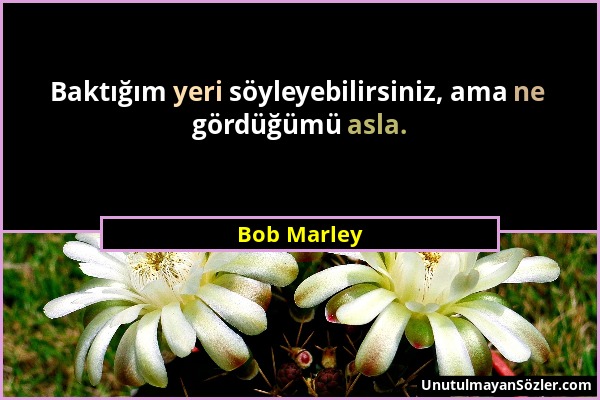 Bob Marley - Baktığım yeri söyleyebilirsiniz, ama ne gördüğümü asla....