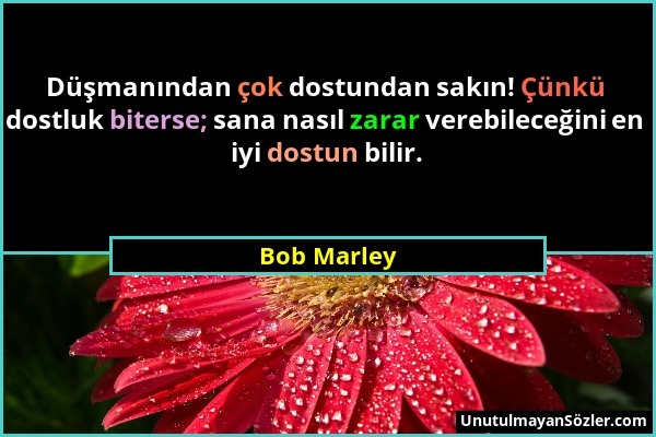 Bob Marley - Düşmanından çok dostundan sakın! Çünkü dostluk biterse; sana nasıl zarar verebileceğini en iyi dostun bilir....